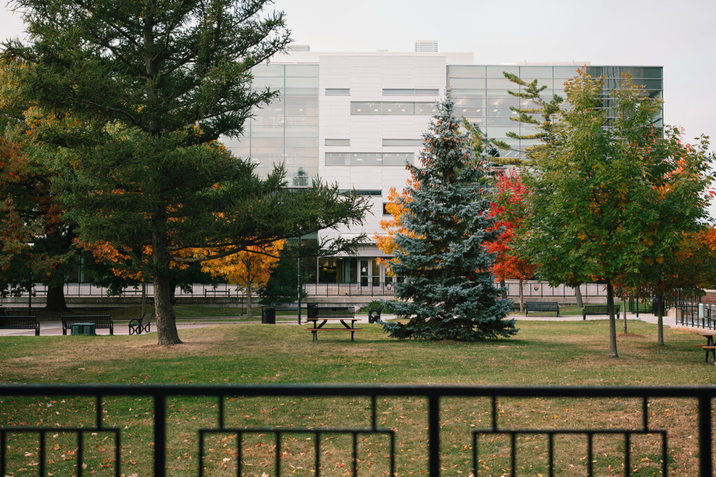 View of the Quad from Tory building, in the fall