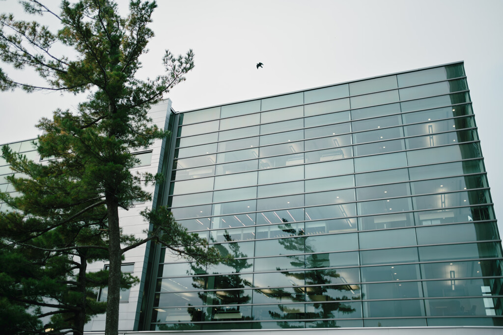 Photo of the MacOdrum Library with a bird flying in the sky
