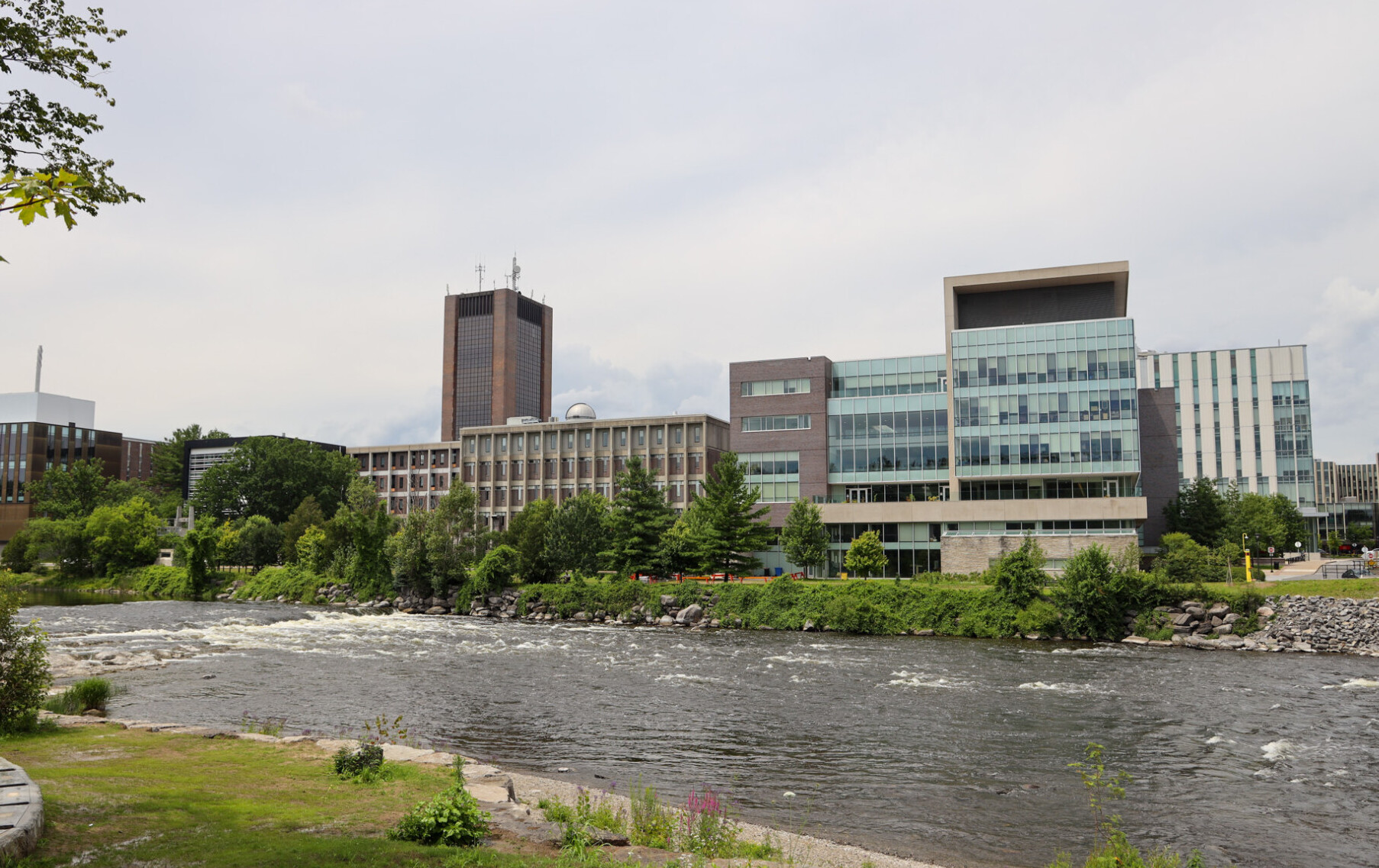 A view of the Carleton University campus on a clear summer day from across the Rideau River.
