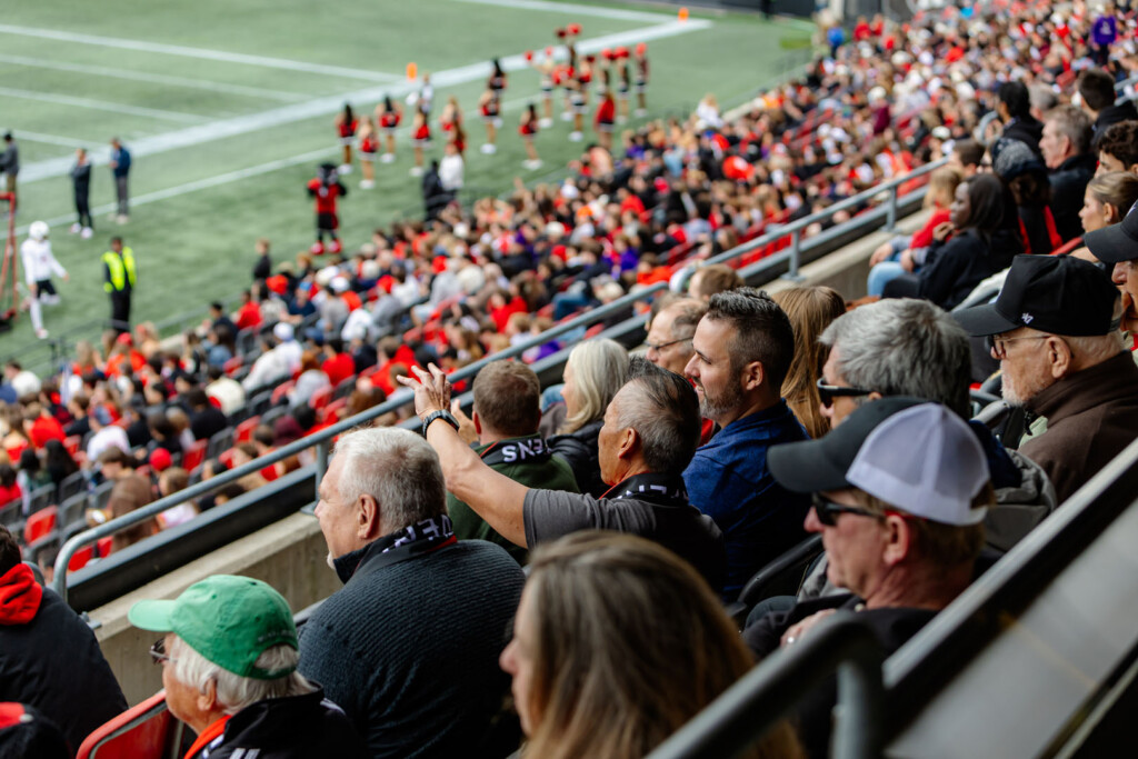 Crowd of people seated watching the Panda game