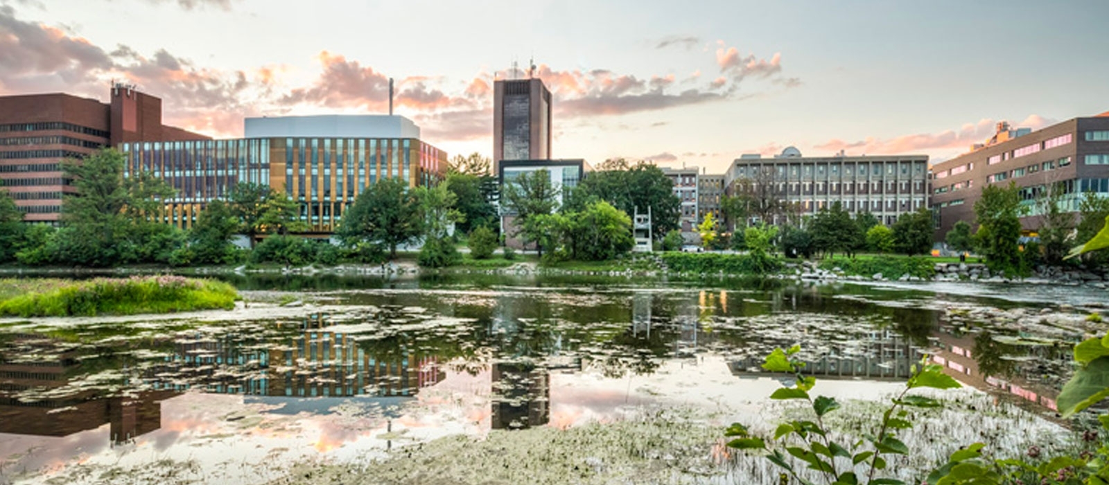 CU Riverside view