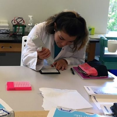 Carleton student works in lab